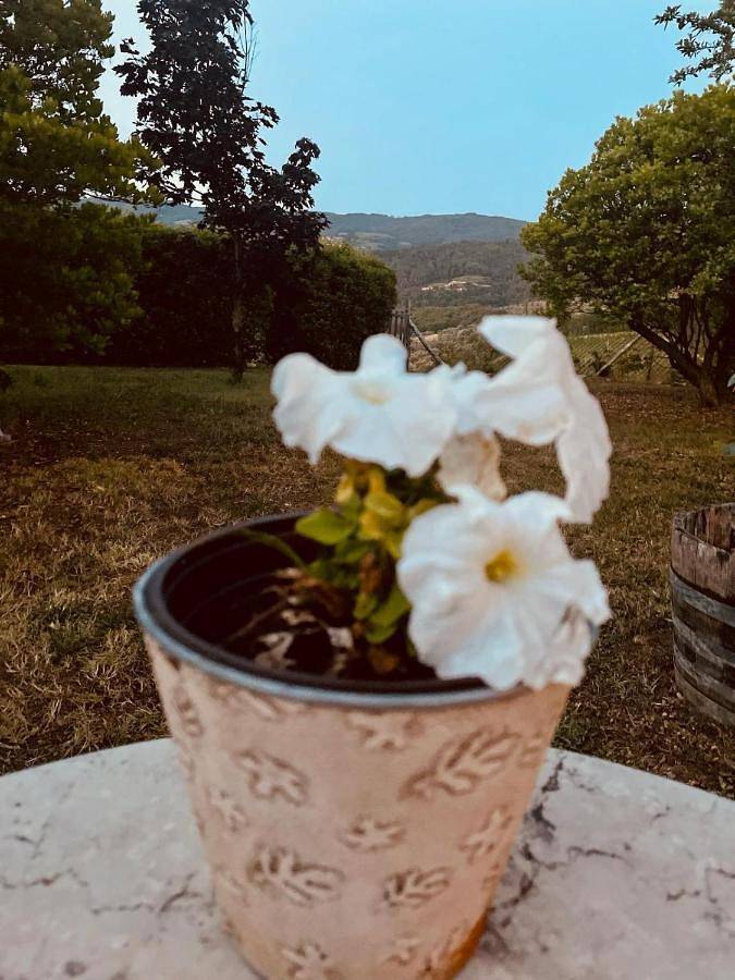 Chambre d’hôte pour 2 personnes, avec jardin et terrasse à Greve In Chianti - 3