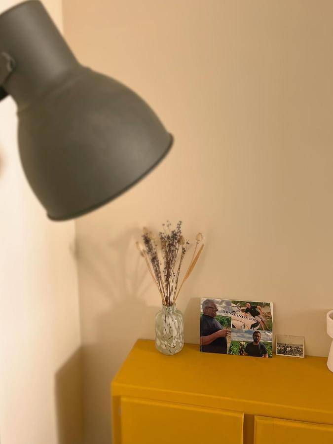 Location de vacances pour 6 personnes, avec terrasse à Chablis - 2