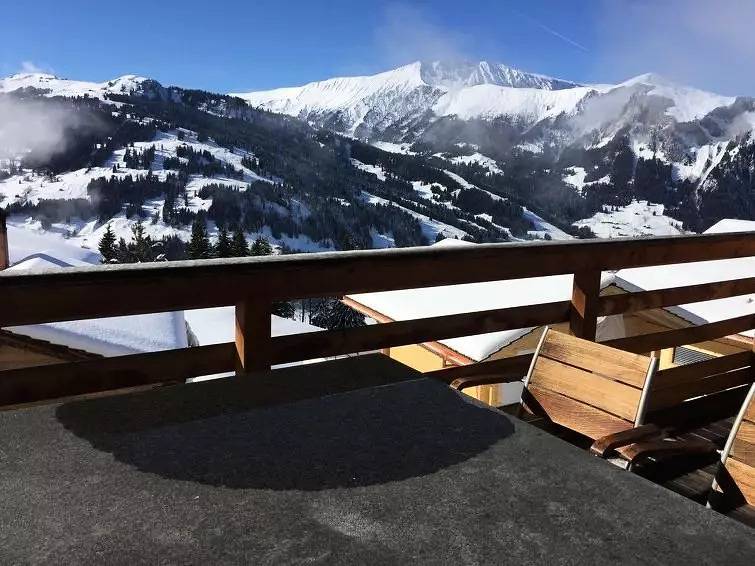 Ganze Wohnung, 2 Pièces 3 Personnes in Lenk, Frutigen - Lenk - Adelboden