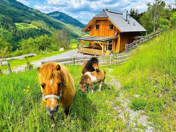 Ferienhaus für 6 Personen, mit Terrasse und Garten