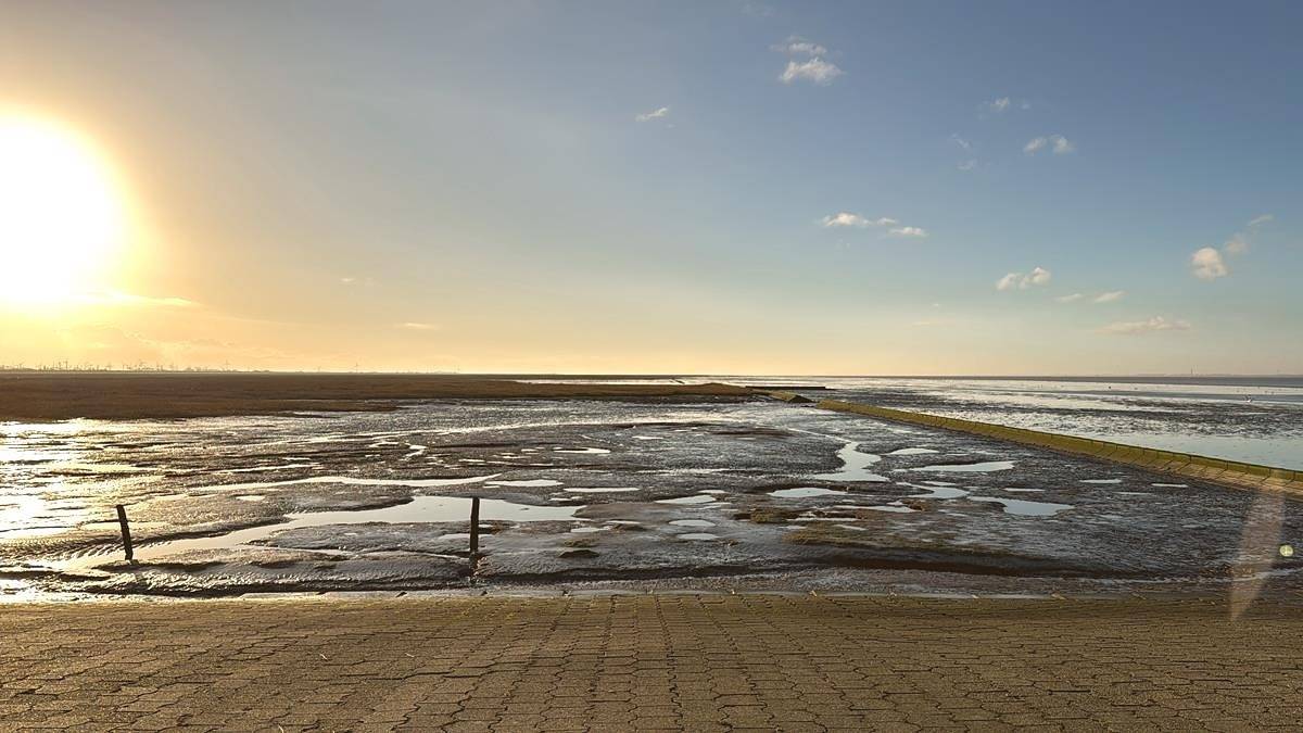 Ferienwohnung Zwergpinscher in Dornumergrode, Dornum