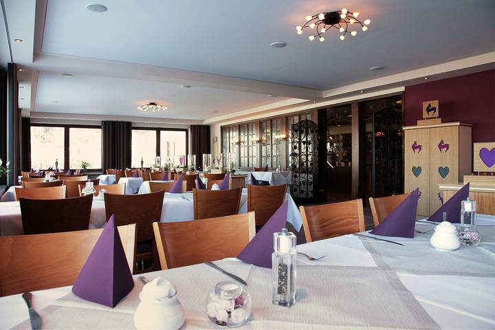 Hotel für 4 Personen, mit Balkon und Terrasse sowie Garten und Pool in Willingen