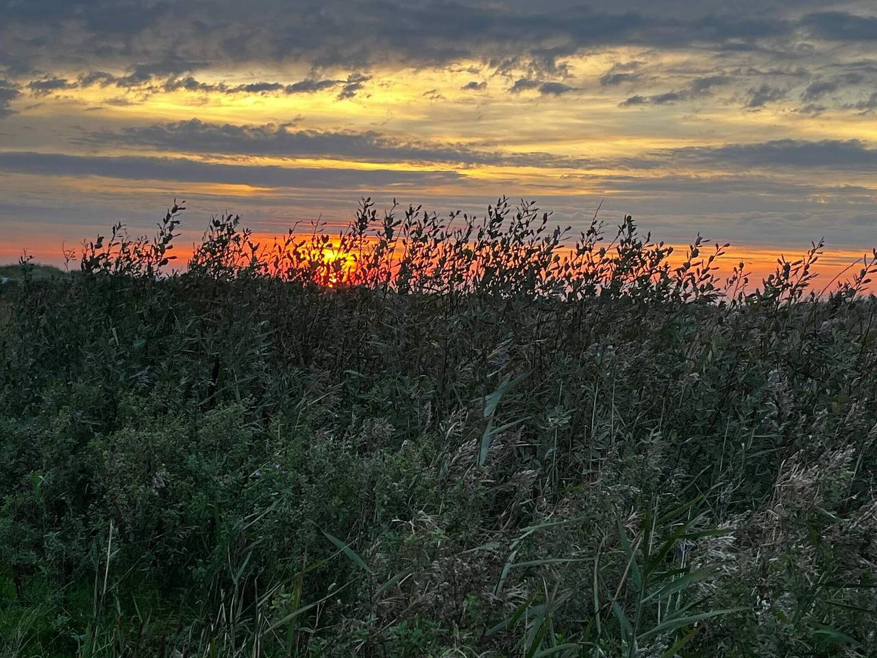 4 Personen Ferienhaus in Ebeltoft in Øerne, Ebeltoft