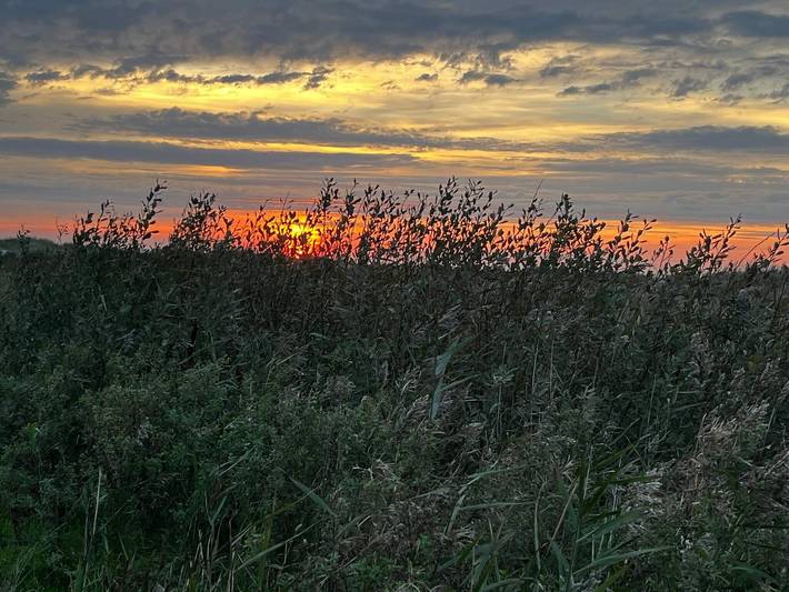 Ferienhaus für 4 Personen, mit Haustier in Djursland - 2