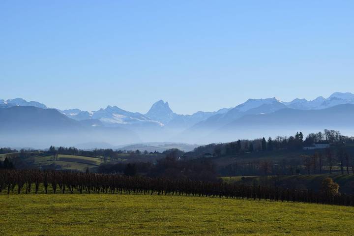Chambre d’hôte pour 2 personnes avec jardin in Monein, Béarn