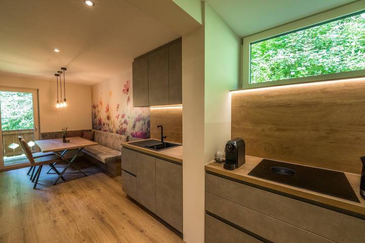 Gîte pour 3 personnes, avec jardin et balcon, adapté aux familles à Finkenberg - 4