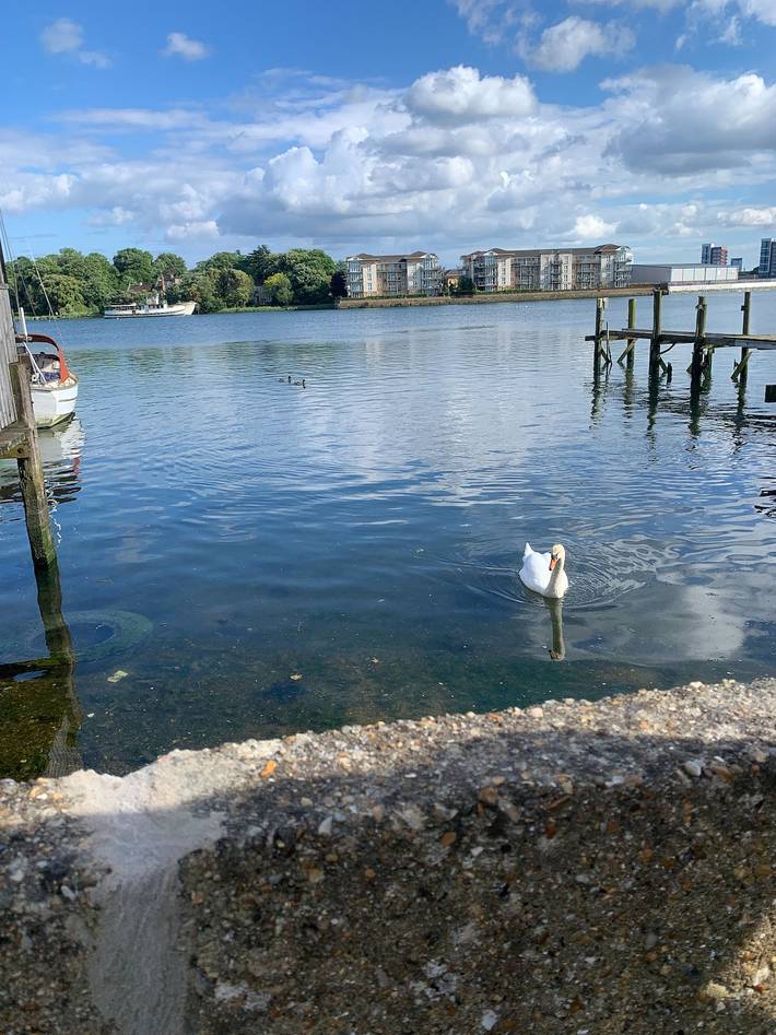 Location de vacances pour 4 personnes, avec Jardin et Vue sur le lac à Southampton - 2