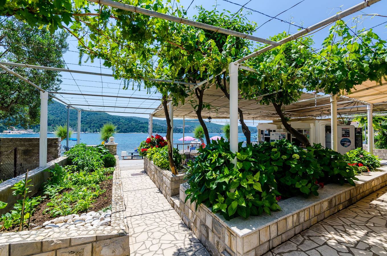 Habitación en la playa Slano, Dubrovnik -b in Slano, Condado de Dubrovnik-Neretva