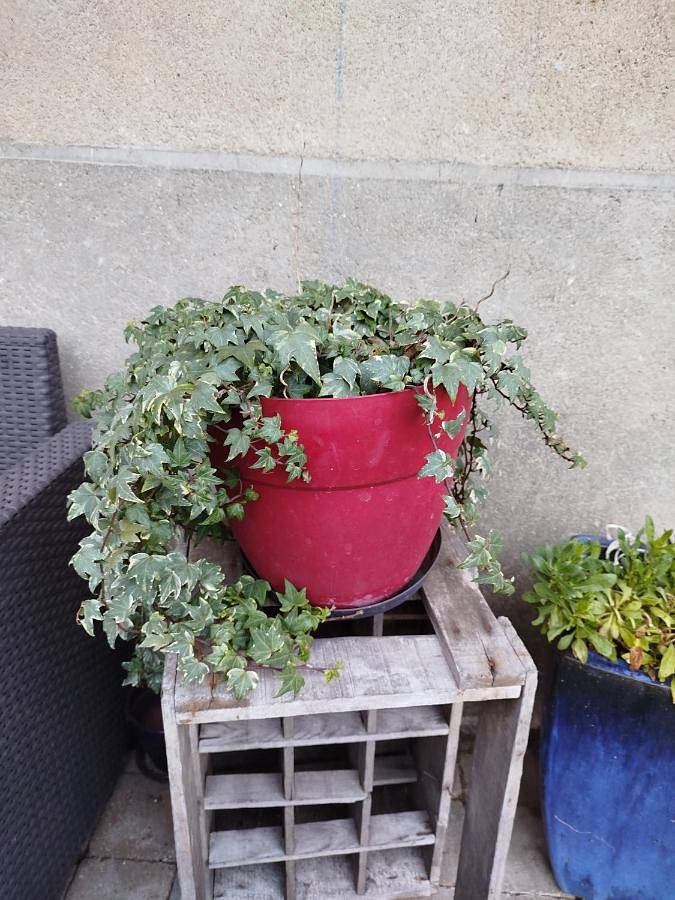 Chambre d’hôte pour 2 personnes, avec jardin et jacuzzi, animaux acceptés dans Allier - 4