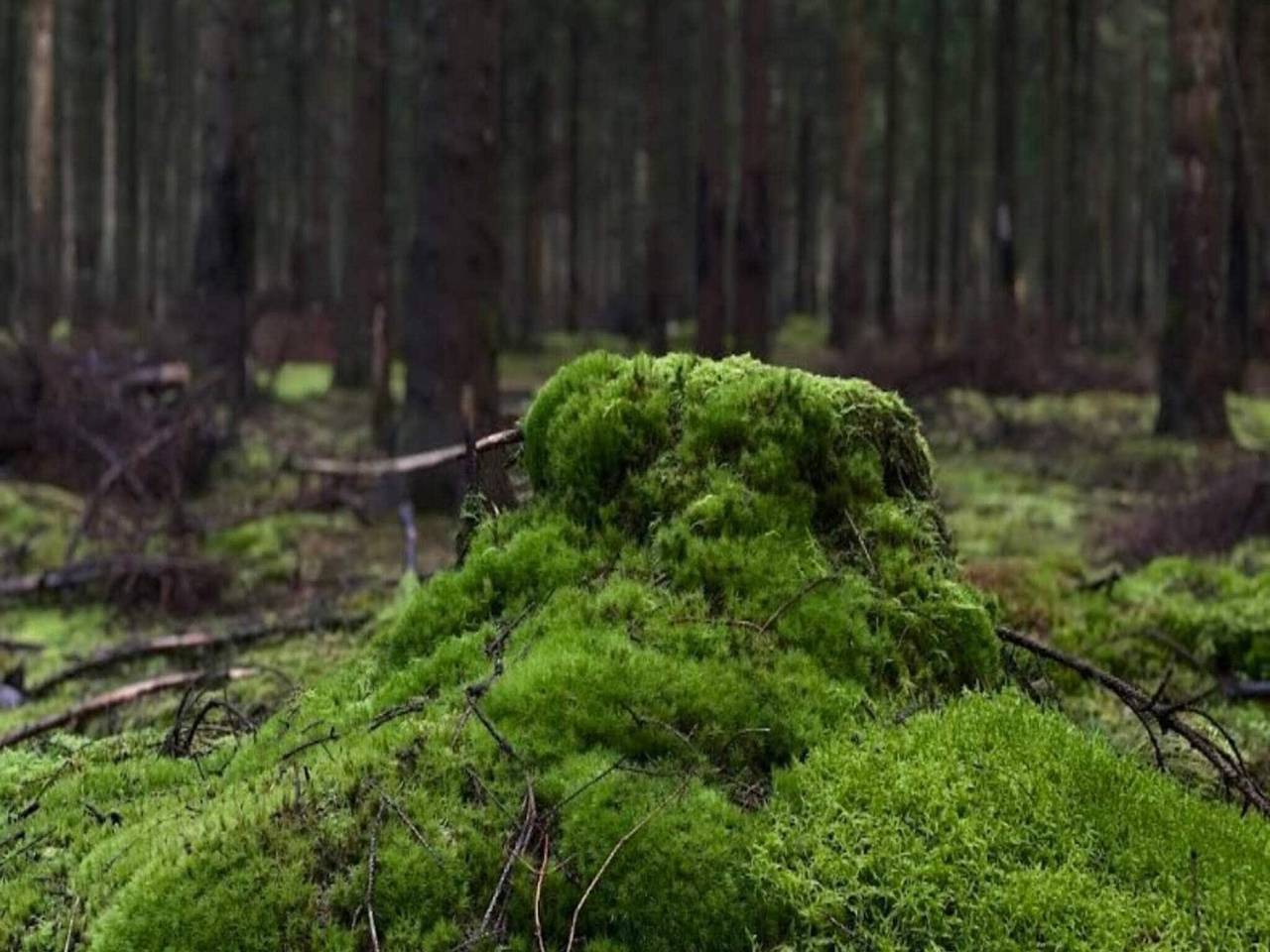Retraite de luxe avec spa in Hummingen, Dannemare