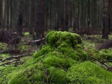 Ferieudlejning til 8 Personer i Dannemare, Lolland, Billede 1