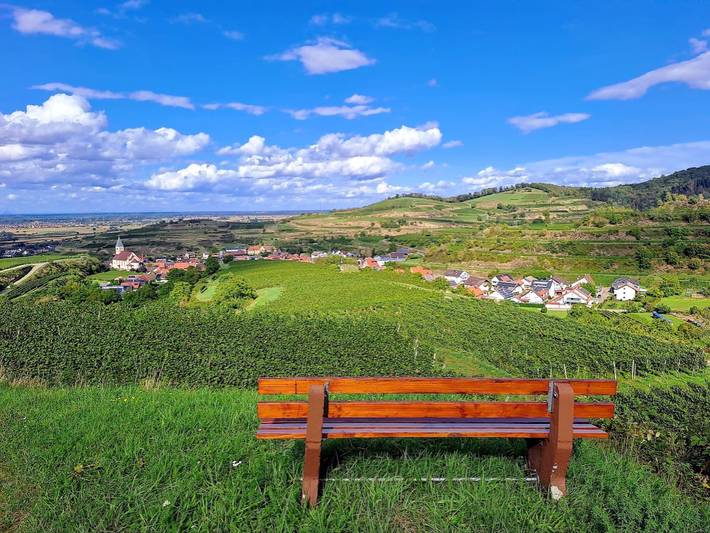 Kamer 'Spätburgunder' met gedeelde binnenplaats, wifi / incl. ontbijt in Endingen - Kiechlinsbergen, Endingen