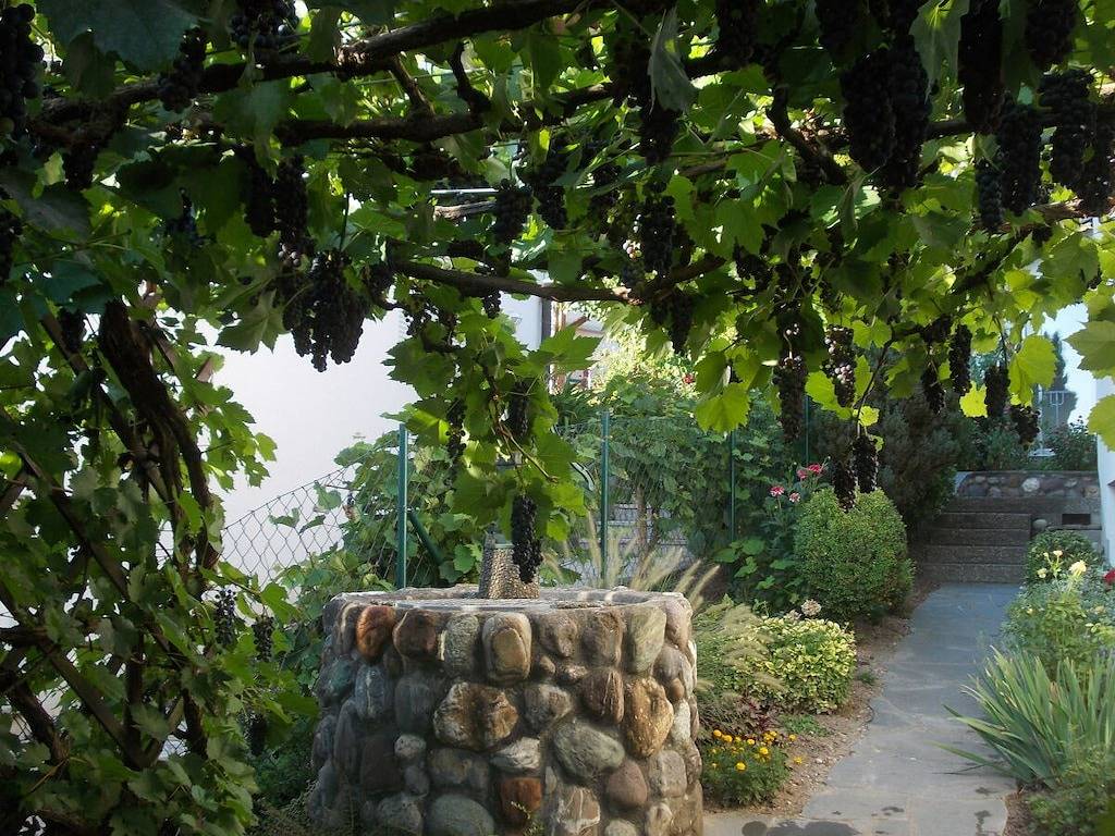 Garten im Haus am Blütenweg in Sipplingen, Region Bodensee-Oberschwaben