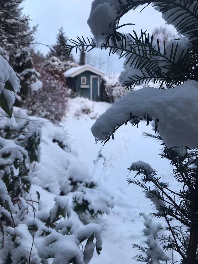 Three-Bedroom House in Willingen, die Mittelgebirge