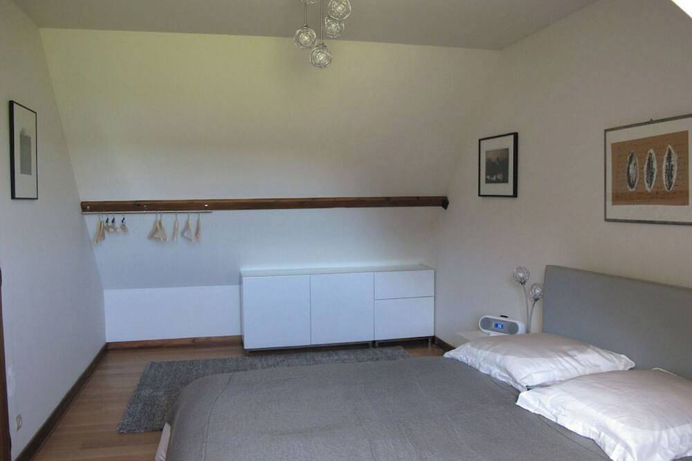 3 bedroom house and Tv lounge, private swimming pool, 50 ha forest, ponds, tennis court in Fontaines-en-Sologne, Sologne