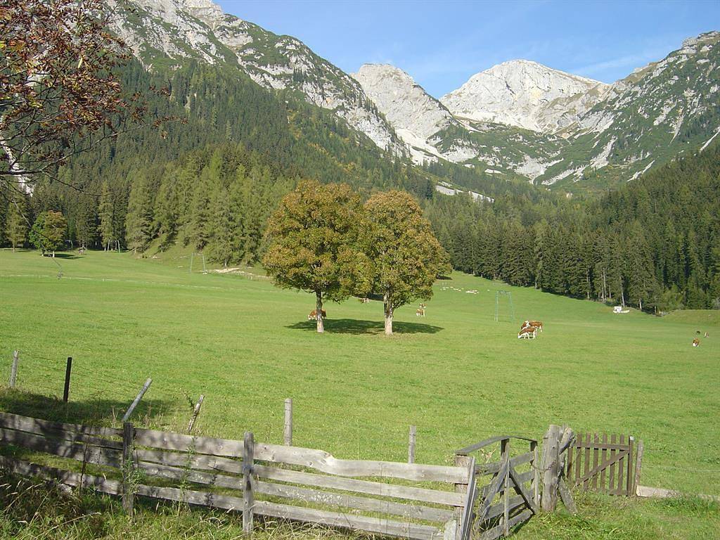 Appartement Fichte in Ramsau am Dachstein, Schladming-Dachstein