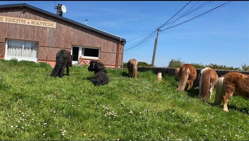 Location de vacances pour 6 personnes à Haudricourt - 3