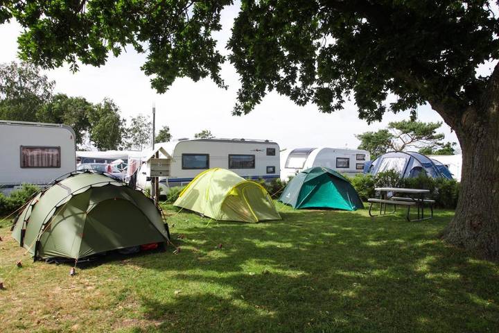 Camping für 8 Personen, mit Haustier in Dänemark - 4