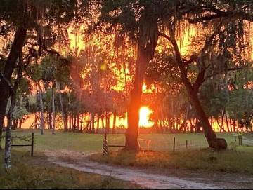 Camping für 4 Personen in Florida, USA, Bild 4