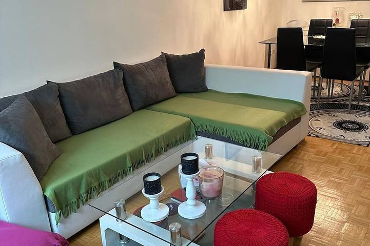 Ganze Wohnung, Schöne Suite in der Sity Basel in Basel Universitätsspital, Basel