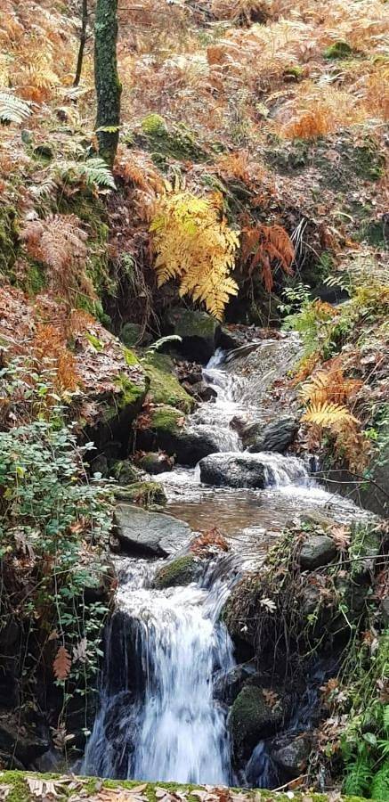 Casa rural para 4 personas, con vistas y jardín en Sierra de Gredos - 4