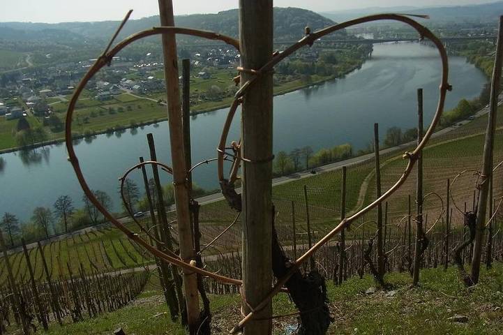 Ferienwohnung für 2 Personen, mit Balkon in Schweich - 3