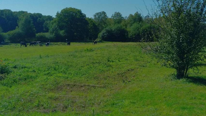Chambre d’hôte pour 3 personnes, avec jardin et vue, adapté aux familles dans Parc naturel régional des Ardennes - 2