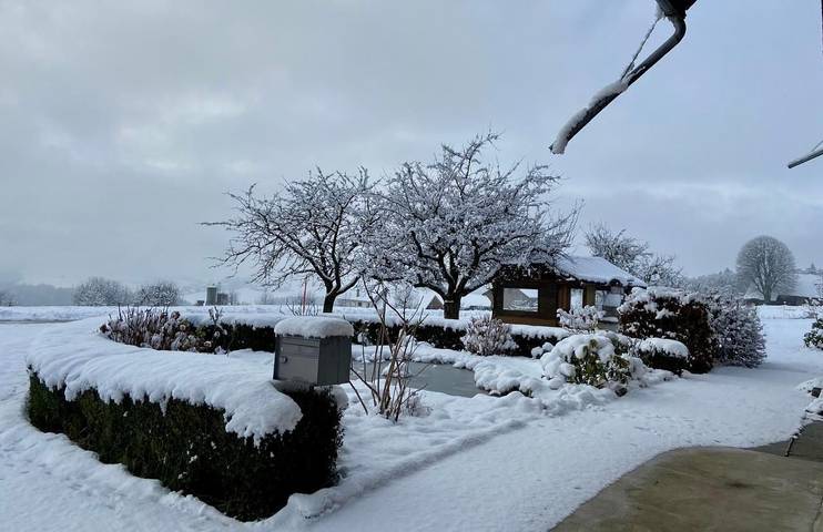 Ferienhaus für 6 Personen, mit Garten und Balkon in Kanton Freiburg - 4