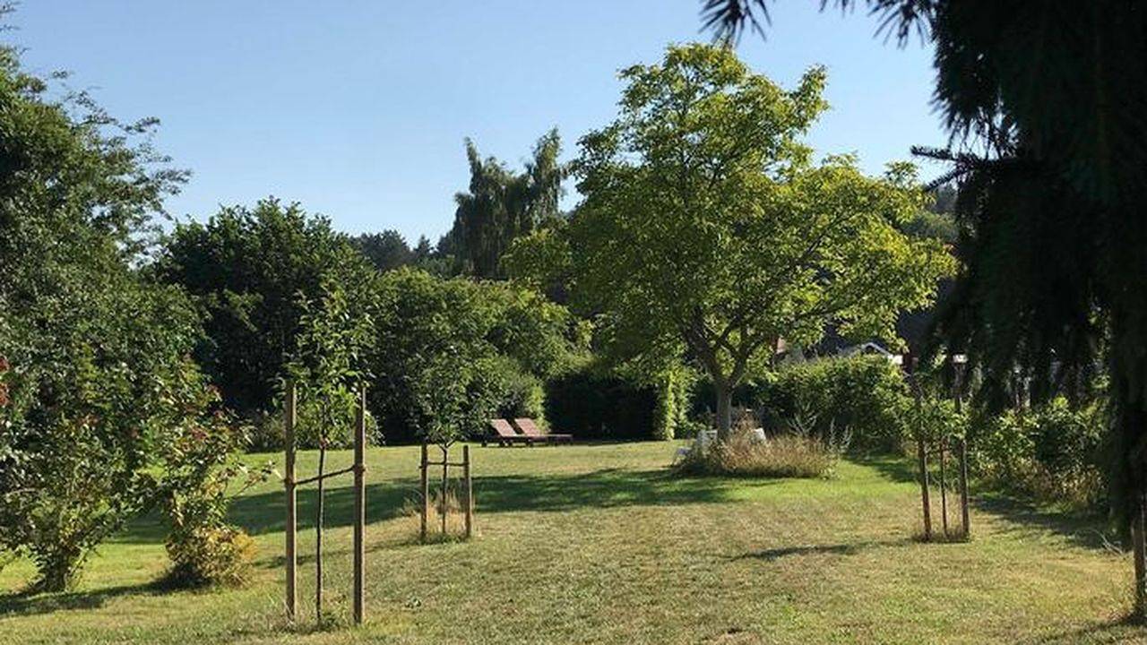 Appartement de vacances entier, Ferienwohnung für 5 Personen (70 m²) in Mellenthin in Morgenitz, Mellenthin
