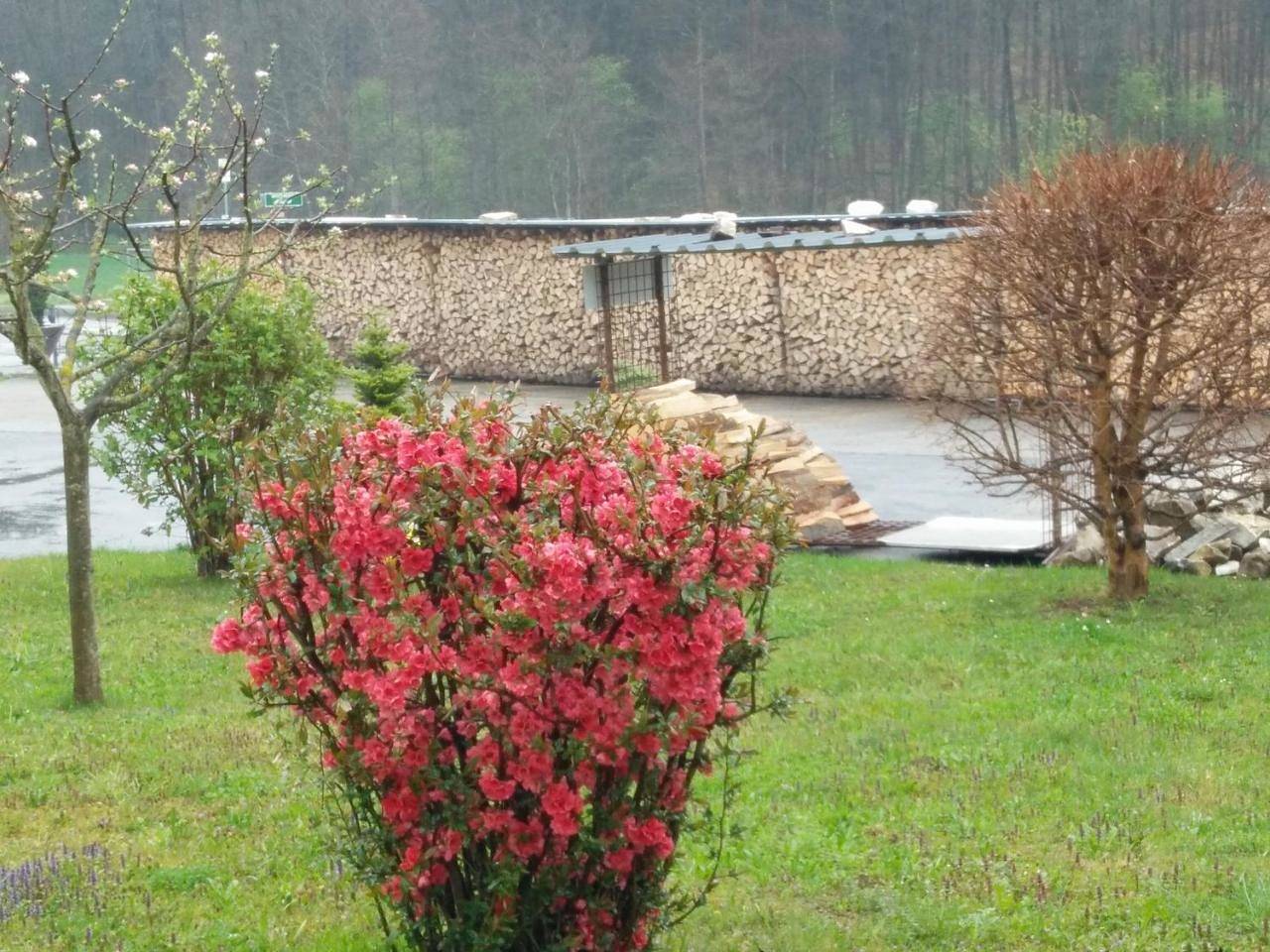 Haus Steirer am Kaiserwald in Unterpremstätten, Steirerland