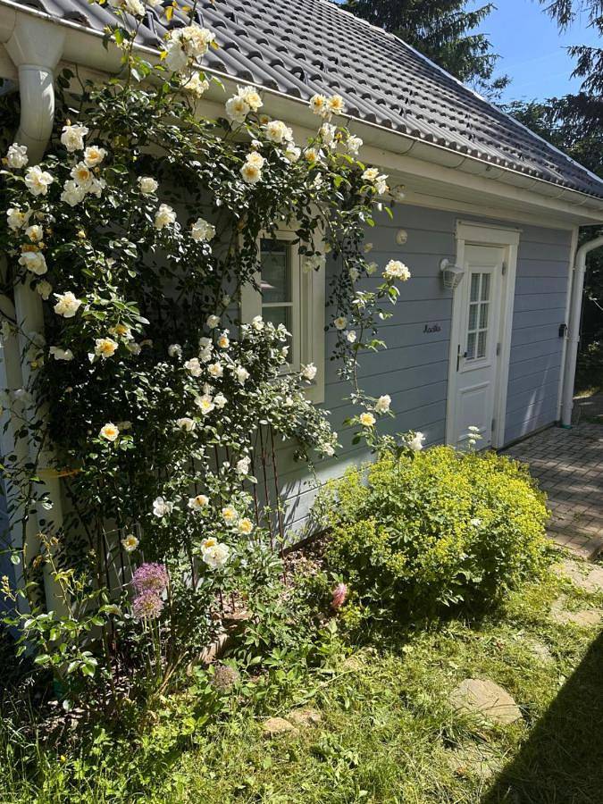 Ferienhaus für 2 Personen, mit Terrasse und Ausblick in Breitnau - 3