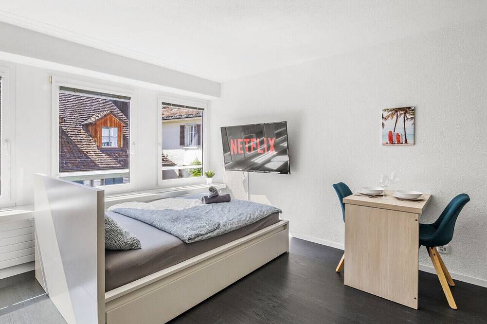 Ganze Wohnung, Stadtzentrum_Kaffee_Arbeitsplatz_Waschmaschine in Winterthur, Kanton Zürich