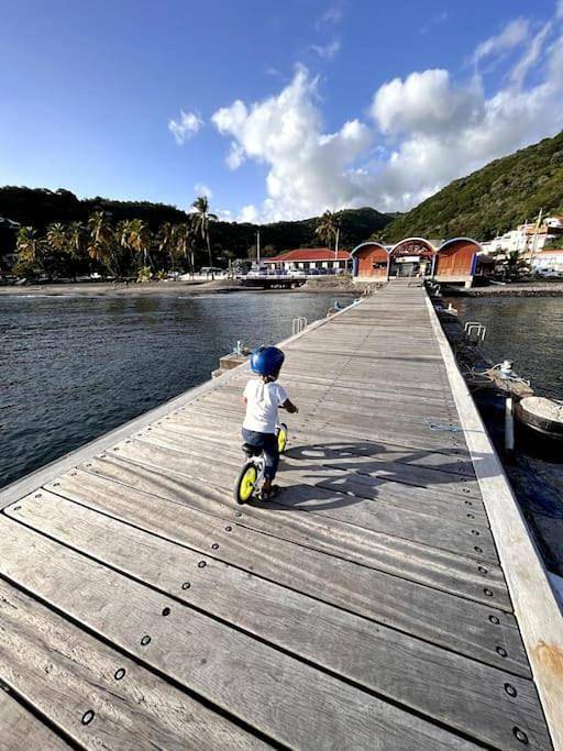 Location de vacances pour 4 personnes dans Bellefontaine (Martinique) - 3