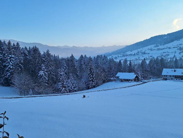 Ganze Ferienwohnung, Ferienwohnung Schoch in Bregenzerwald (Vorarlberg), Langenegg