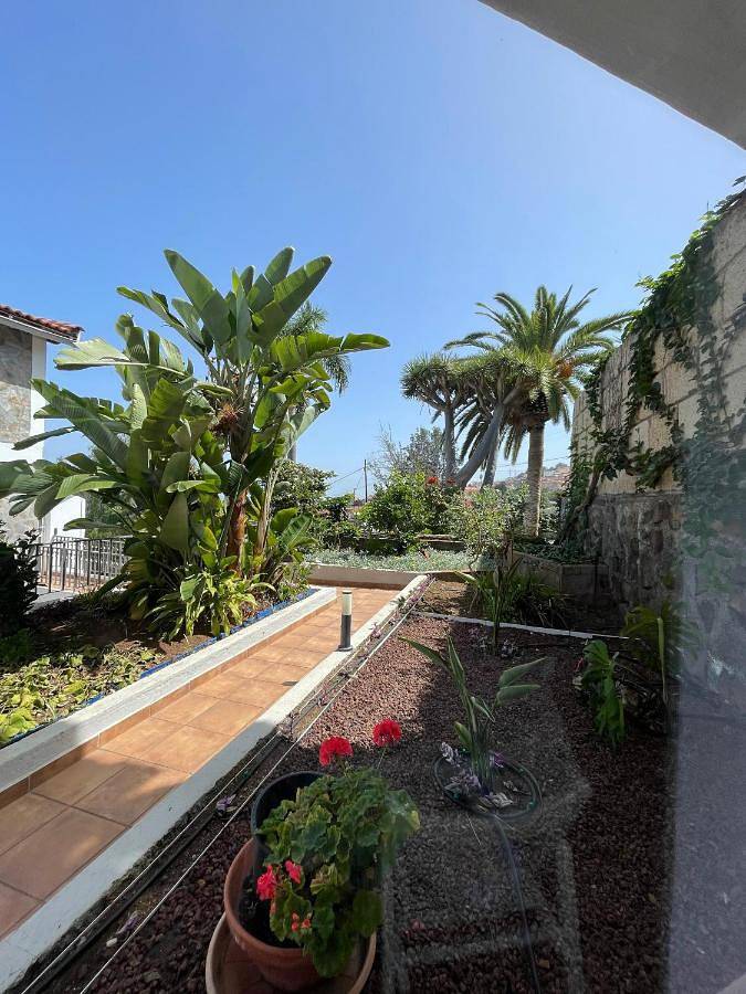 Casa rural para 3 personas, con Terraza en Valle de la Orotava - 3
