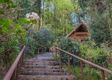 Glamping for 2 People in Devon, South West England, Photo 2