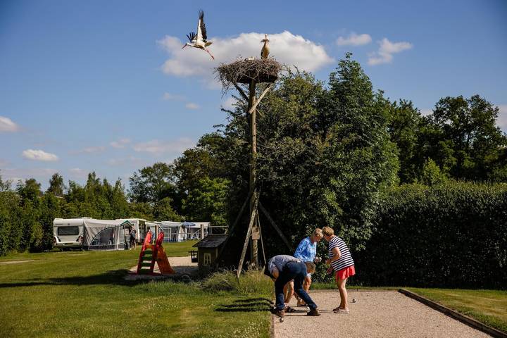Camping für 8 Personen in Overijssel - 3