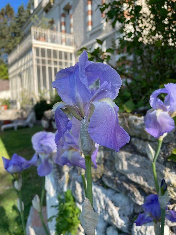Location de vacances pour 8 personnes, avec jardin ainsi que jacuzzi et piscine dans Montrichard Val de Cher - 2