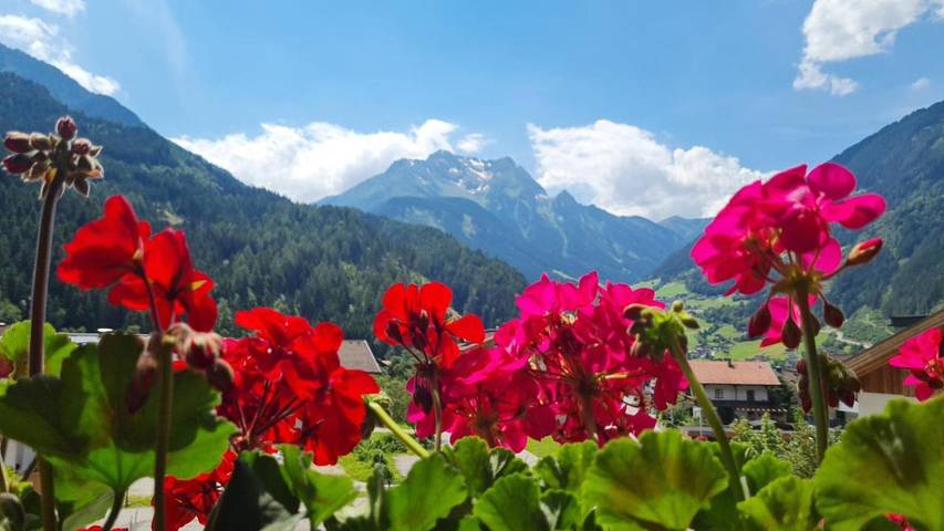 Maison d’hôte pour 2 personnes, avec vue ainsi que sauna et jardin à Mayrhofen - 4