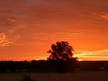 Ferienwohnung für 4 Personen in Mellenthin, Usedom, Bild 4
