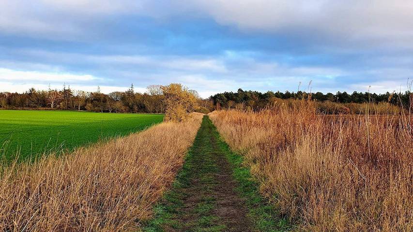Ferienhaus für 7 Personen, mit Terrasse in Grenå Strand - 3