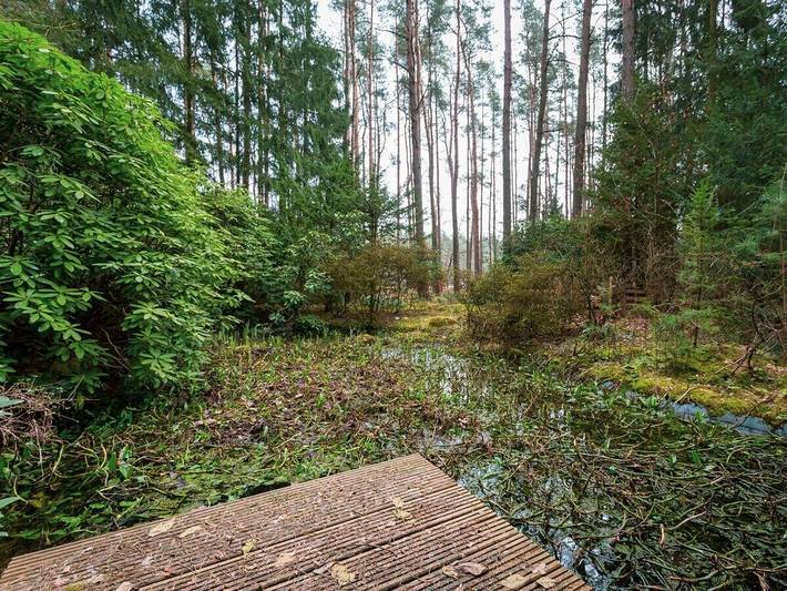 Ferienhaus für 2 Personen, mit Terrasse in der Lüneburger Heide - 3
