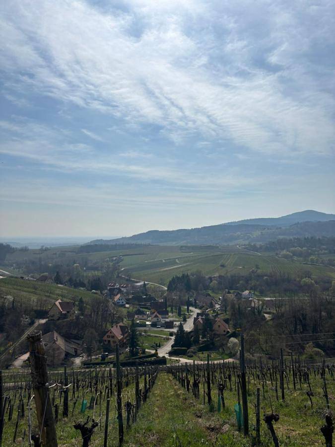 La maison Hansel & Gretel - Vignoble d'Alsace in Bernardvillé, Région de Sélestat-Erstein
