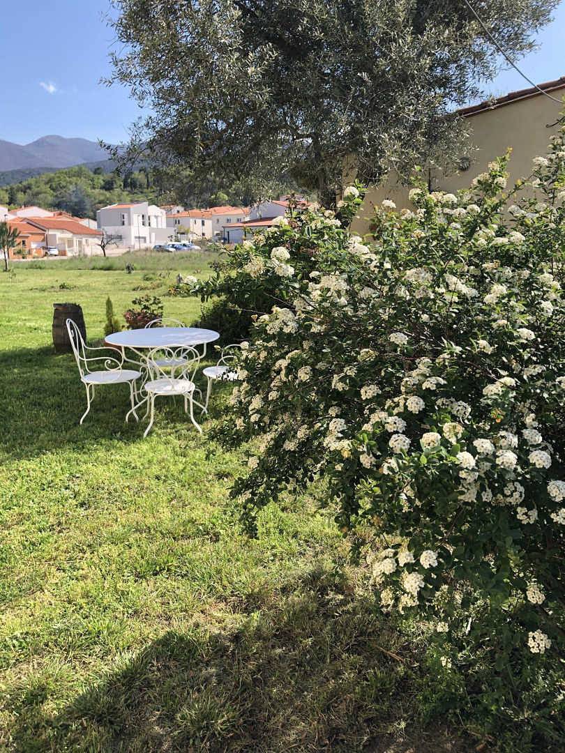 Les cueilleurs de cerises in Céret, Región Céret