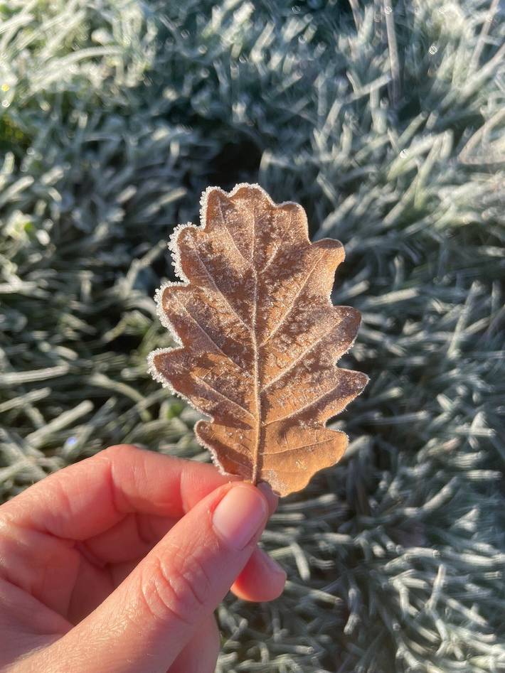 Ferienwohnung für 7 Personen, mit Garten und Balkon in Spessart-Mainland - 3