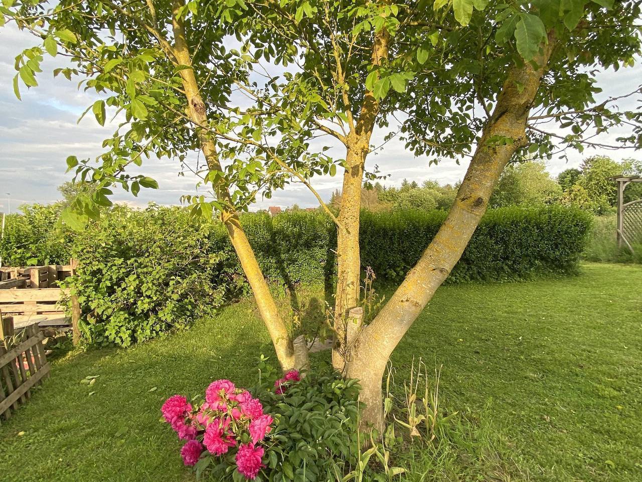 Ganze Ferienwohnung, Ferienwohnung Bliesgau - Appartement/Fewo, Dusche, Wc, 1 Schlafraum in Blieskastel, Saarpfalz-Kreis