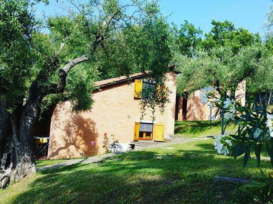 Campeggio Villaggio Cerquestra  - Chalet 4 personas - Con veranda in Magione, Lago Trasimeno