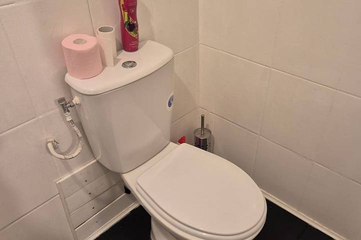 Gîte pour 2 personnes, animaux acceptés à Saint-Gaudens - 4