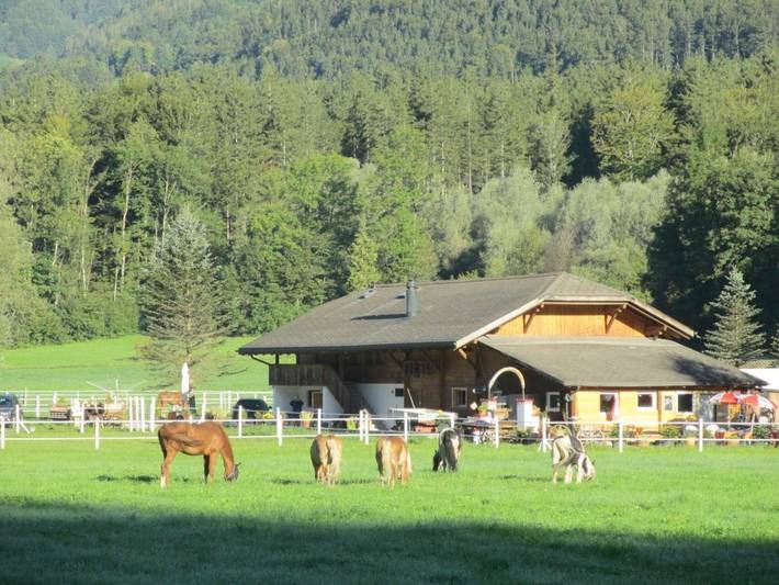 Gîte pour 4 personnes, avec jardin ainsi que vue et piscine à Brienzwiler - 2