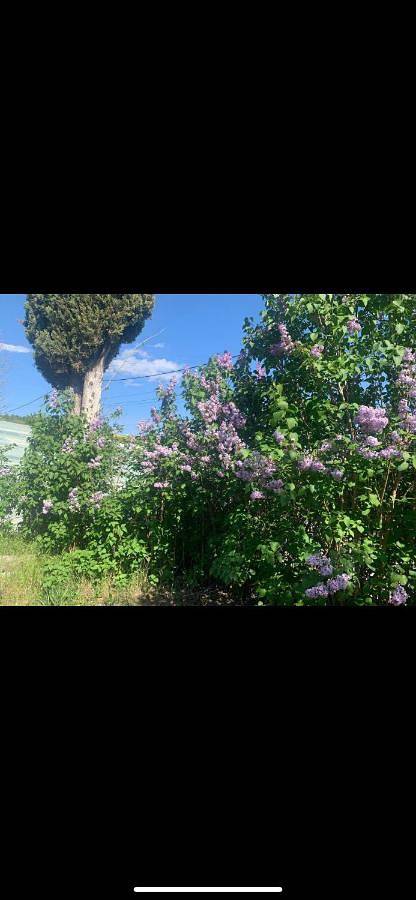 Location de vacances pour 4 personnes, avec terrasse et piscine à Mane - 3